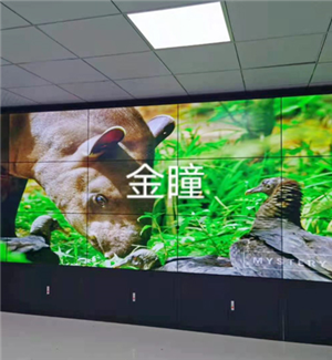 Guizhou Tongren Forestry 49 inch 3.5mm 3X5 Cabinet Matrix